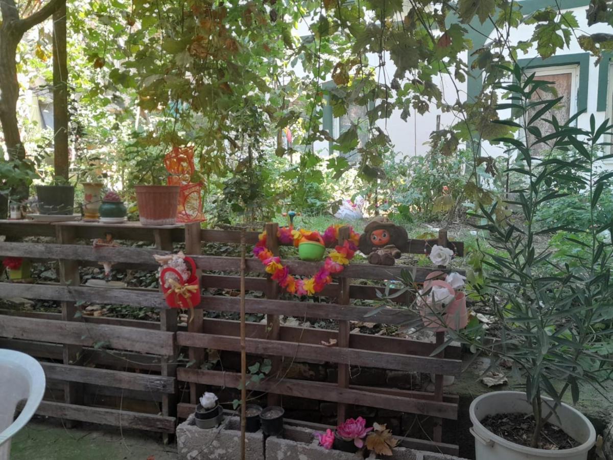 Adem'S Cozy Terrace Retreat Skopje Exterior foto