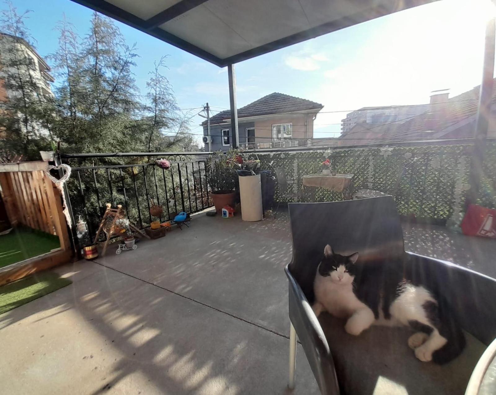 Adem'S Cozy Terrace Retreat Skopje Exterior foto